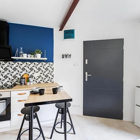 公寓 Boat Aparts - Poznanska 20