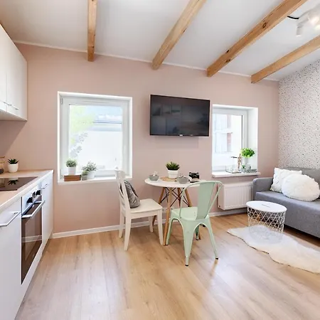 Boat Aparts - Poznanska 20 公寓 罗兹