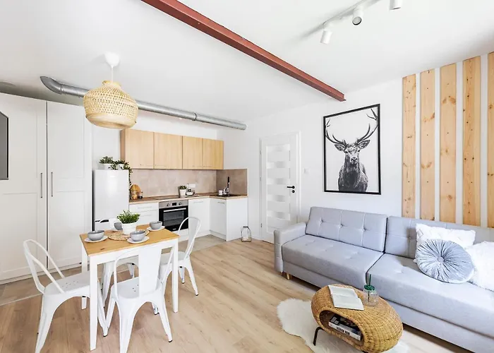 Boat Aparts - Poznanska 20 公寓 *