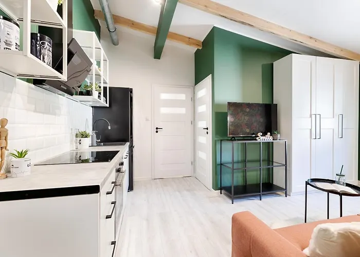 Boat Aparts - Poznanska 20 * 罗兹