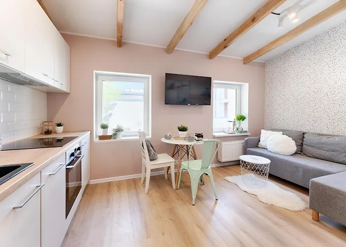 Boat Aparts - Poznanska 20 公寓 罗兹